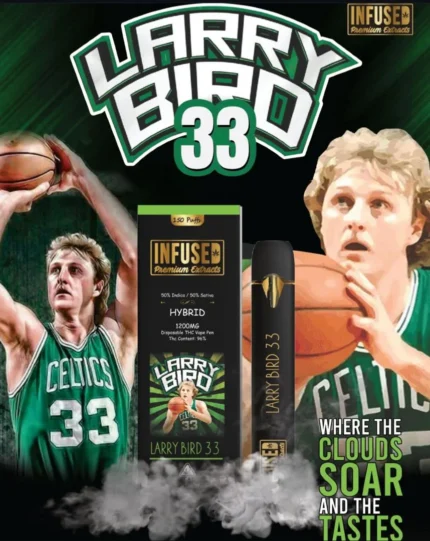 LARRY BIRD 33